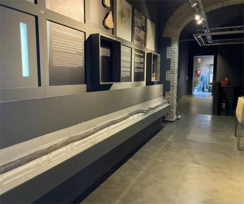 Interior de una sala del Museu de Guissona, con piezas arqueológicas, paneles informativos y vitrinas dispuestas a lo largo del recorrido expositivo